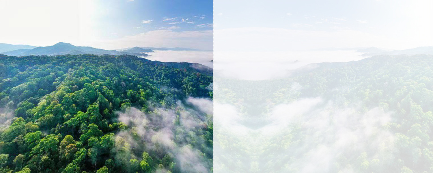 龙潭里山泉水图片